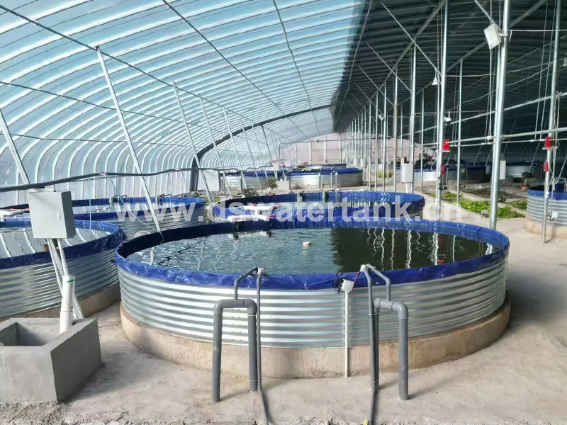 Corrugated Steel Fish Tanks